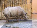 <img150*0:stuff/FP_PaigntonZoo_012.jpg>