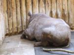 <img150*0:stuff/FP_PaigntonZoo_014.jpg>