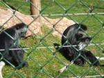 <img150*0:stuff/FP_PaigntonZoo_016.jpg>