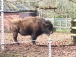 <img150*0:stuff/FP_PaigntonZoo_022.jpg>