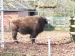 <img150*0:stuff/FP_PaigntonZoo_023.jpg>