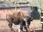 <img150*0:stuff/FP_PaigntonZoo_024.jpg>
