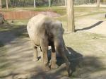<img150*0:stuff/FP_PaigntonZoo_038.jpg>