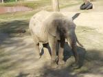 <img150*0:stuff/FP_PaigntonZoo_039.jpg>