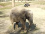 <img150*0:stuff/FP_PaigntonZoo_040.jpg>