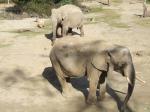 <img150*0:stuff/FP_PaigntonZoo_044.jpg>