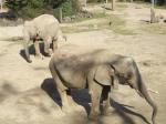 <img150*0:stuff/FP_PaigntonZoo_045.jpg>
