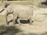 <img150*0:stuff/FP_PaigntonZoo_046.jpg>