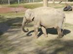 <img150*0:stuff/FP_PaigntonZoo_047.jpg>