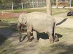 <img150*0:stuff/FP_PaigntonZoo_048.jpg>
