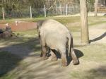 <img150*0:stuff/FP_PaigntonZoo_049.jpg>
