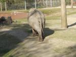 <img150*0:stuff/FP_PaigntonZoo_050.jpg>
