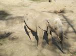 <img150*0:stuff/FP_PaigntonZoo_053.jpg>