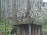 <img150*0:stuff/FP_PaigntonZoo_054.jpg>