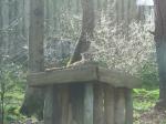 <img150*0:stuff/FP_PaigntonZoo_055.jpg>