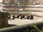<img150*0:stuff/FP_PaigntonZoo_056.jpg>