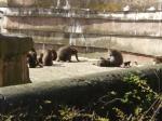 <img150*0:stuff/FP_PaigntonZoo_057.jpg>