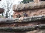 <img150*0:stuff/FP_PaigntonZoo_058.jpg>