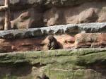 <img150*0:stuff/FP_PaigntonZoo_060.jpg>
