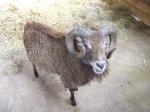 <img150*0:stuff/FP_PaigntonZoo_064.jpg>
