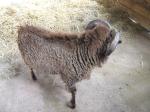 <img150*0:stuff/FP_PaigntonZoo_065.jpg>