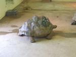 <img150*0:stuff/FP_PaigntonZoo_072.jpg>