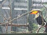 <img150*0:stuff/FP_PaigntonZoo_074.jpg>