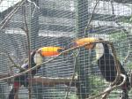 <img150*0:stuff/FP_PaigntonZoo_075.jpg>