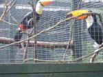 <img150*0:stuff/FP_PaigntonZoo_076.jpg>