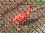 <img150*0:stuff/FP_PaigntonZoo_080.jpg>