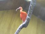 <img150*0:stuff/FP_PaigntonZoo_082.jpg>