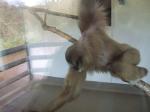 <img150*0:stuff/FP_PaigntonZoo_083.jpg>