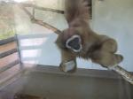 <img150*0:stuff/FP_PaigntonZoo_084.jpg>