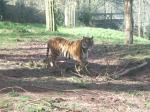 <img150*0:stuff/FP_PaigntonZoo_089.jpg>