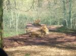 <img150*0:stuff/FP_PaigntonZoo_091.jpg>