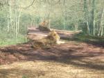 <img150*0:stuff/FP_PaigntonZoo_094.jpg>