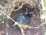 <img150*0:stuff/FP_PaigntonZoo_098.jpg>
