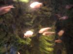 <img150*0:stuff/FP_PaigntonZoo_099.jpg>