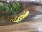 <img150*0:stuff/FP_PaigntonZoo_103.jpg>