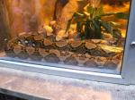 <img150*0:stuff/FP_PaigntonZoo_105.jpg>