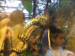 <img150*0:stuff/FP_PaigntonZoo_108.jpg>
