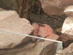 <img150*0:stuff/FP_PaigntonZoo_110.jpg>