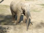 <img150*0:stuff/FP_PaigntonZoo_41.jpg>