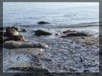 <img200*0:stuff/FP_Plymouth_003.jpg>