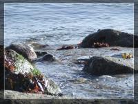 <img200*0:stuff/FP_Plymouth_004.jpg>