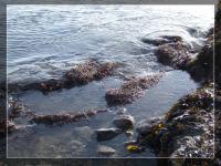 <img200*0:stuff/FP_Plymouth_007.jpg>