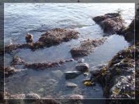 <img200*0:stuff/FP_Plymouth_008.jpg>