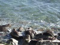 <img200*0:stuff/FP_Torquay_020.jpg>