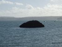 <img200*0:stuff/FP_Torquay_021.jpg>