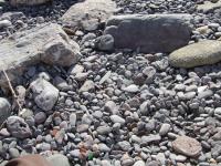 <img200*0:stuff/FP_Torquay_023.jpg>